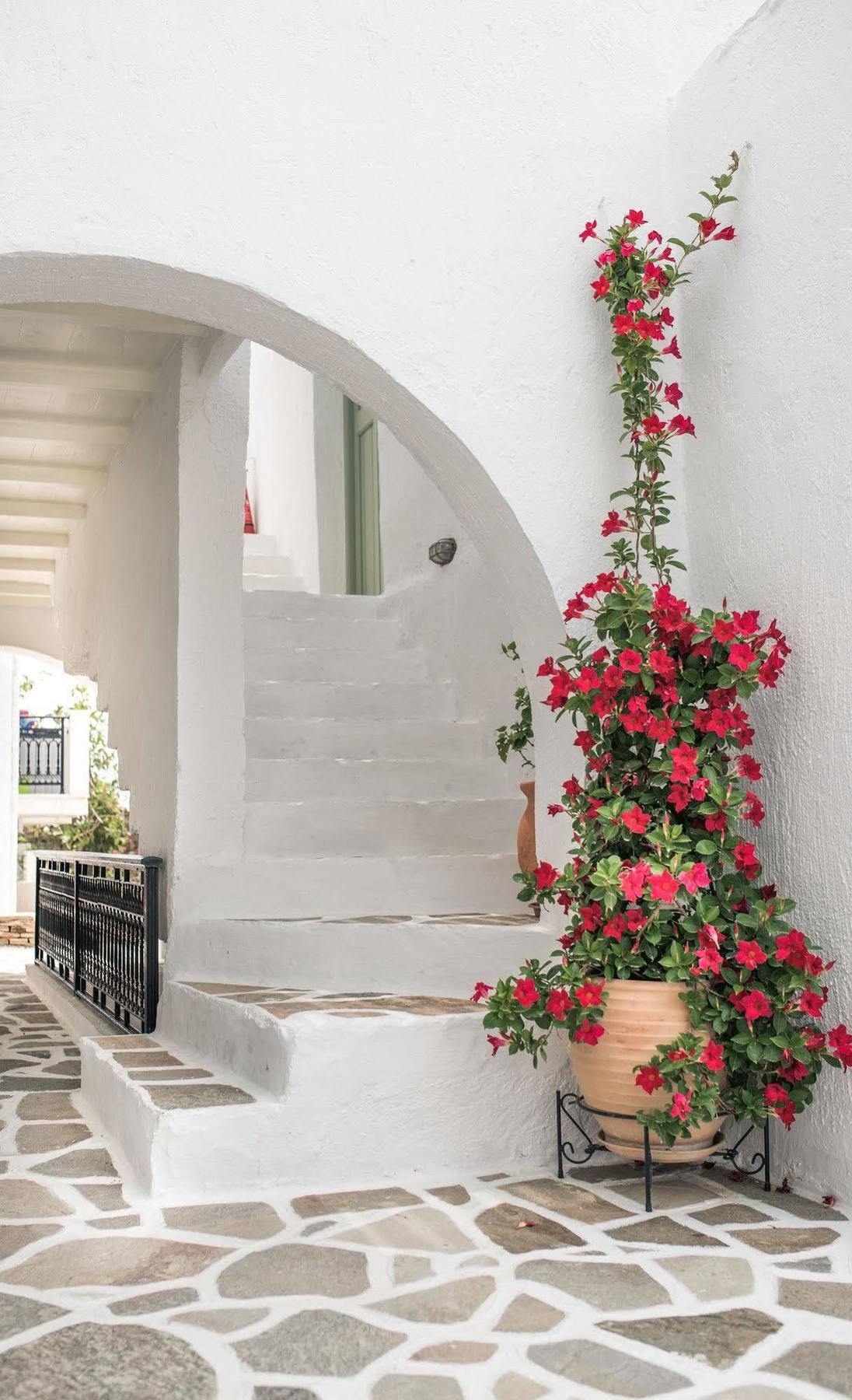 Nastasia Village Naxos City Extérieur photo